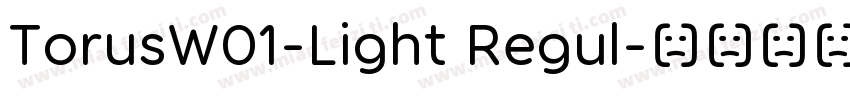 TorusW01-Light Regul字体转换